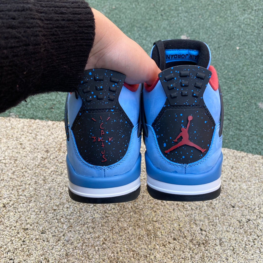 TS x J4 "Cactus"