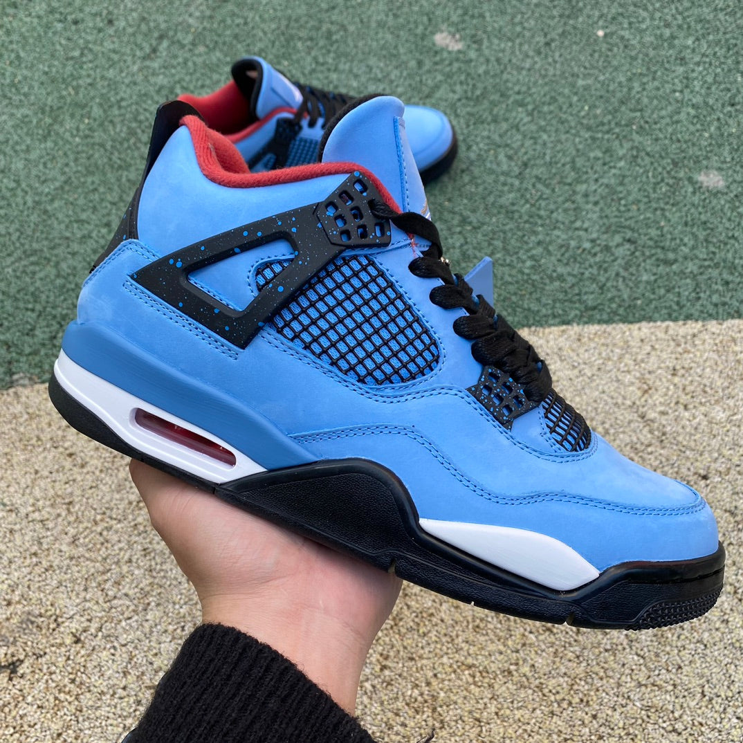 TS x J4 "Cactus"